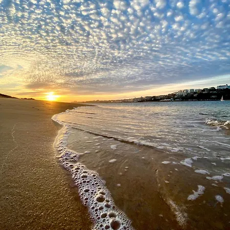 Palacio Alemar * ロレド