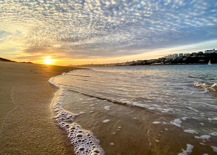 Palacio Alemar * ロレド